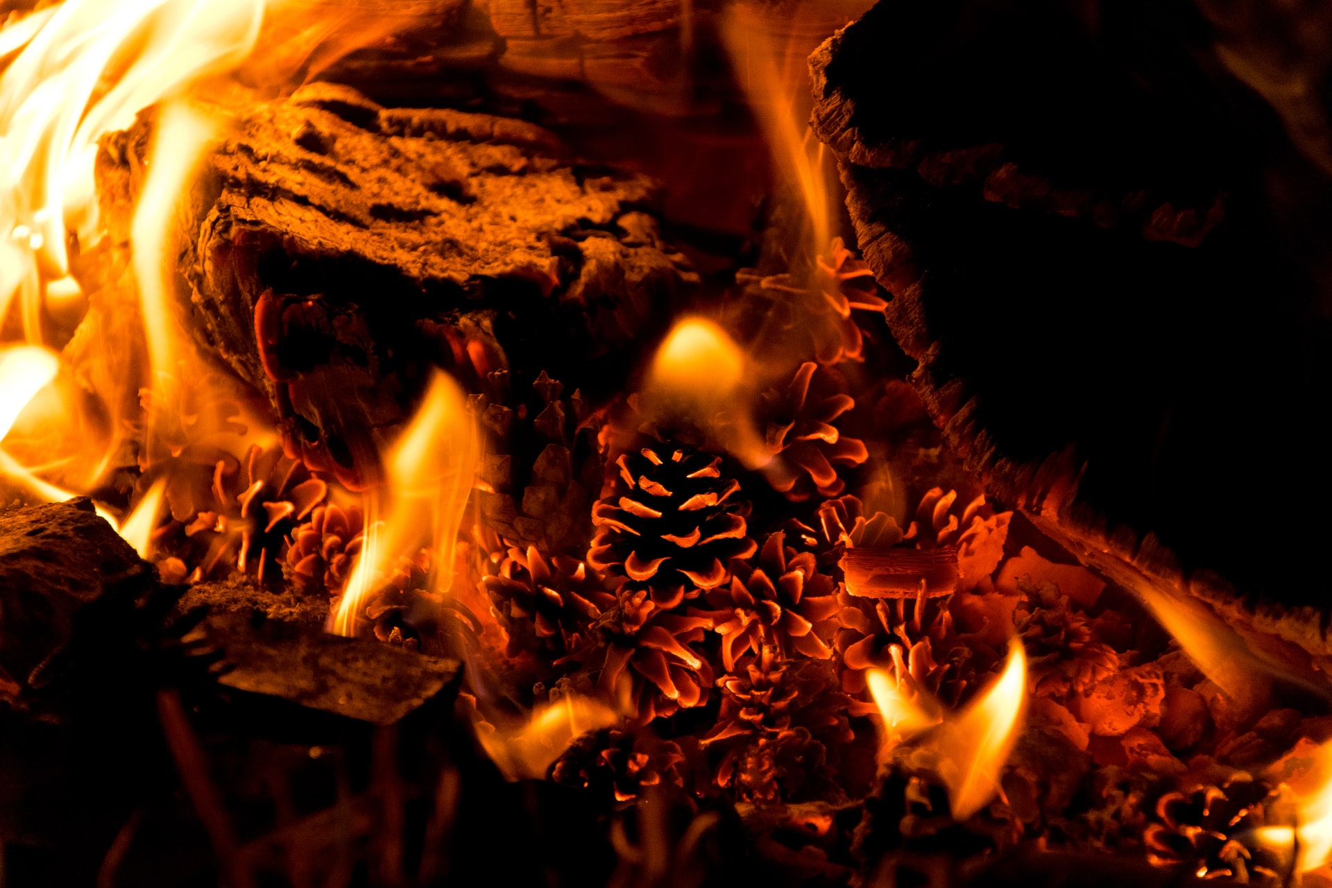 wood and pinecones crackling in flames